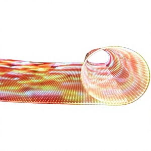 LED P5 P6.25 P8 P10 P15 P20 Indoor Flexible LED Transparent <b>Film</b> Screen on Glass Video Wall Clear Super Thin LED <b>Film</b> Display - Product Image 1