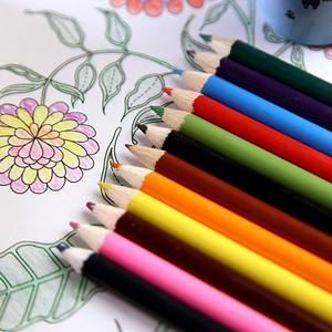 Crayons de couleur en bois pleine couleur en gros, crayons de couleur professionnels à l'aquarelle, crayons de couleur effaçables, ensemble de crayons de couleur avec logo personnalisé - Product Image 4