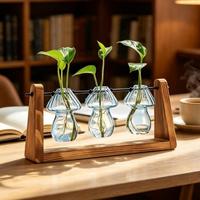 Vase en verre hydroponique en gros avec support en bois, station de propagation de plantes de bureau, vase à fleurs, terrarium, prix d'usine