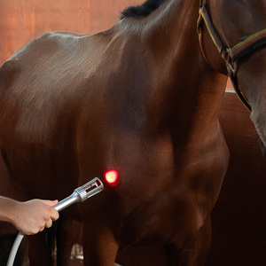 Alat <span class=keywords><strong>Laser</strong></span> fisioterapi 810nm 980nm multifungsi untuk mengobati hewan peliharaan yang terluka di klinik hewan - Product Image 6