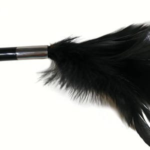 Flirten Feder Tickler mit Metall Zauberstab Feder Ernte für Erwachsene Sex Verspielte Gadget für Männer und Frauen - Product Image 5