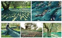 Groene Plantage Fruitverzamelingsnetten, op maat te maken, voor landbouwnetten voor walnoten, olijven en kastanjes.