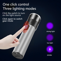 Lampe torche LED UV rechargeable USB (395 nm) avec zoom, corps en ABS, étanche IP54, faisceau réglable, outil de détection pour le teigne chez le chat