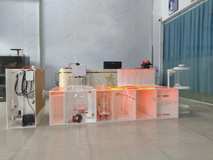 Rode Sterrenvis <span class=keywords><strong>Aquarium</strong></span> Sump Filtratie Acryl <span class=keywords><strong>Aquarium</strong></span> Filter Sump Tank voor Mariene/Zoutwateraquariums - Product Image 4