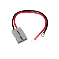 Ensemble de câbles personnalisés avec borne annulaire, connecteur à borne en U, câble toronné AWG, certifié CE RoHS