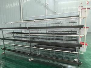 Nouvelle cage à poulets verticale à 3 niveaux et 4 portes, capacité 96 poulets, équipement d'élevage avicole commercial automatique et économique de haute qualité - Product Image 2
