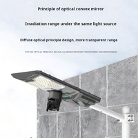 Lampe Solaire Extérieure 100 200 300 500 Watt Led Projecteur Avec Caméra Cctv Solaire Intégré Lampadaire