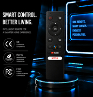 Télécommande OEM 2.4G 14 boutons noire avec commande vocale IR pour Smart TV et micro-projecteur, remplace la télécommande à code fixe, en matériau ABS