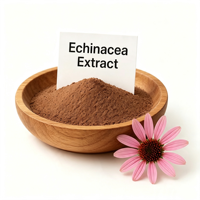 Extrait de Poudre de Plante d'Échinacée Purpurea de Qualité Alimentaire Naturelle, Fourniture d'Usine, pour la Fabrication de Boissons et de Produits Nutritionnels