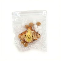 Jouet anti-stress en TPR souple en forme de croissant au caramel, à remontée lente, pour adultes