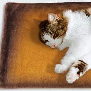 स्व-वार्मिंग बिल्ली बिस्तर सुपर नरम कुत्ते बिस्तर कंबल पालतू आत्म हीटिंग पैड थर्मल बिल्ली और कुत्ते वार्मिंग बिस्तर मैट - Product Image 5