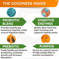 Friandises à mâcher probiotiques pour chiens Prébiotiques Probiotiques Enzymes digestives Supplément de santé intestinale riche en protéines Absorption rapide OEM/ODM