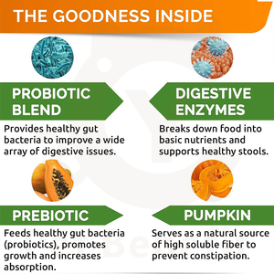 Gránulos Blandos Probióticos para Perros, Prebióticos, <span class=keywords><strong>Enzimas</strong></span> <span class=keywords><strong>Digestivas</strong></span>, Suplemento de Alta Proteína para la Salud Intestinal, Equilibra el Intestino - Product Image 2