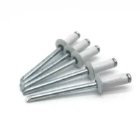 Custom Metal Hollow Long Aluminum Blind Rivets - China Pop Blind Rivet,  Aluminum Blind Rivets