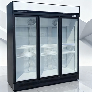 Compresseur Inverter à Refroidissement par Air avec Affichage Numérique pour Vitrines Congélateurs Verticaux Utilisées dans la Fabrication de Glaçons - Product Image 3