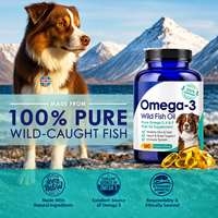 Complément alimentaire pour animaux de compagnie Omega 3 6 9 Huile de poisson sauvage en gélules molles 1000 mg 180 unités pour chiens, chats, oiseaux, soutien de la peau et du pelage