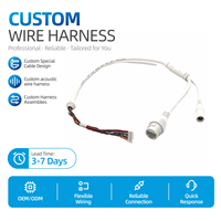 Cable de Seguridad para Cámaras CCTV de Alta Calidad, 350MM, PVC Aislado, Conductor de Cobre Estañado, Clasificación IP67, Conector RJ45/DC JACK, 10 Núcleos