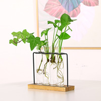 Station de propagation des plantes, terrarium, vases en tube à essai, support en verre et en fer pour la propagation des plantes hydroponiques
