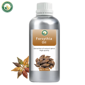 Huile de Forsythia en Gros (Forsythia Suspensa) 100% Pure Distillée à la Vapeur, Fournisseur d'Usine OEM pour l'Aromathérapie et les Soins de la Peau - Product Image 2