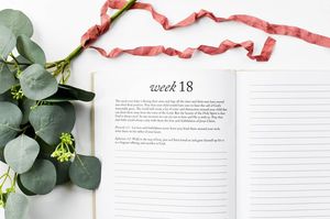 Album per bambini libro dei ricordi del momento prezioso libro dei ricordi del diario del bambino per ragazzi e ragazze - Product Image 5