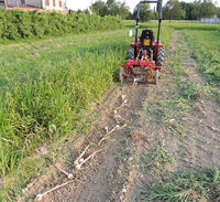 Cosechadora de Patatas de 3 Puntos y Una Sola Hilera, Excavadora de Batatas para Tractores Compactos