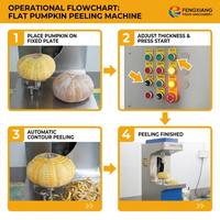 Elektrische platte pompoenschilmachine, industriële groenteschilmachine voor fruitverwerkingsbedrijven