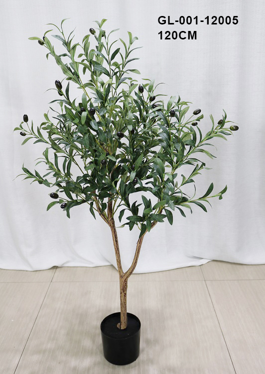 120cm/ulivo-due tronco