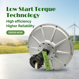 Generador de Imán de Flujo Axial sin Núcleo GDG de 5kW 10kW 150RPM, Motor - Product Image 4