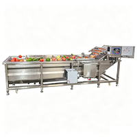 Automatische ozonbelletjes roestvrijstalen groente- en fruitwasmachine met motor en pomp, energiebesparend voor voedingsfabrieken
