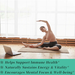Gotas de Aceite de Semilla Negra de Guanábana de Alta Calidad OEM, Apoyan la Inmunidad y la Salud Digestiva Intestinal, Gotas Líquidas - Product Image 2