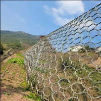 Filet de protection de pente Corey SNS, maille à maillons flexibles pour protection active, personnalisable, durable, contre les chutes de pierres et les glissements de terre en montagne