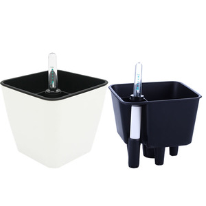 wholesale plastic bonsai pot