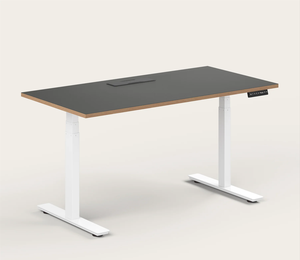 Escritorio Eléctrico Ajustable, Escritorio Ergonómico para Trabajar de Pie o Sentado - Product Image 1