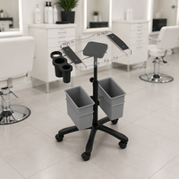 Chariot de Salon Professionnel en Acrylique, Réglable en Hauteur, avec Plateau Roulant pour Coloration Capillaire et Bacs de Rangement pour Coiffeur, Esthéticienne, Tatoueur