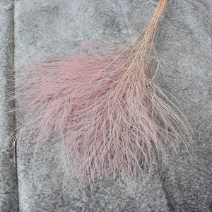 Fleurs séchées conservées <span class=keywords><strong>Plume</strong></span> Herbe Pierre Herbe Blanc Tiki <span class=keywords><strong>Fougère</strong></span> pour Arrangement de mariage de fleurs éternelles - Product Image 4