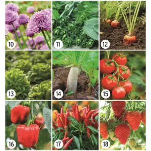 Customizable seed <b>sachets</b> eco-friendly gadgets - Product Image 3