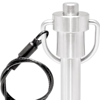 Goupilles de verrouillage à bille en acier inoxydable 304 OEM d'usine, à dégagement rapide avec bouton et poignée, avec cordon de sécurité