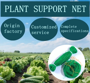 Customizable HDPE Durable 2m * 10m 10cm * 10cm Cutting Service Trellis <strong>Net</strong> Plant Support <strong>Net</strong> Yam <strong>Net</strong> - Product Image 6