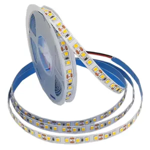 12V 24V IP20 IP65 120 LED 5 metri rotolo bianco freddo SMD 2835 Led Strip Light