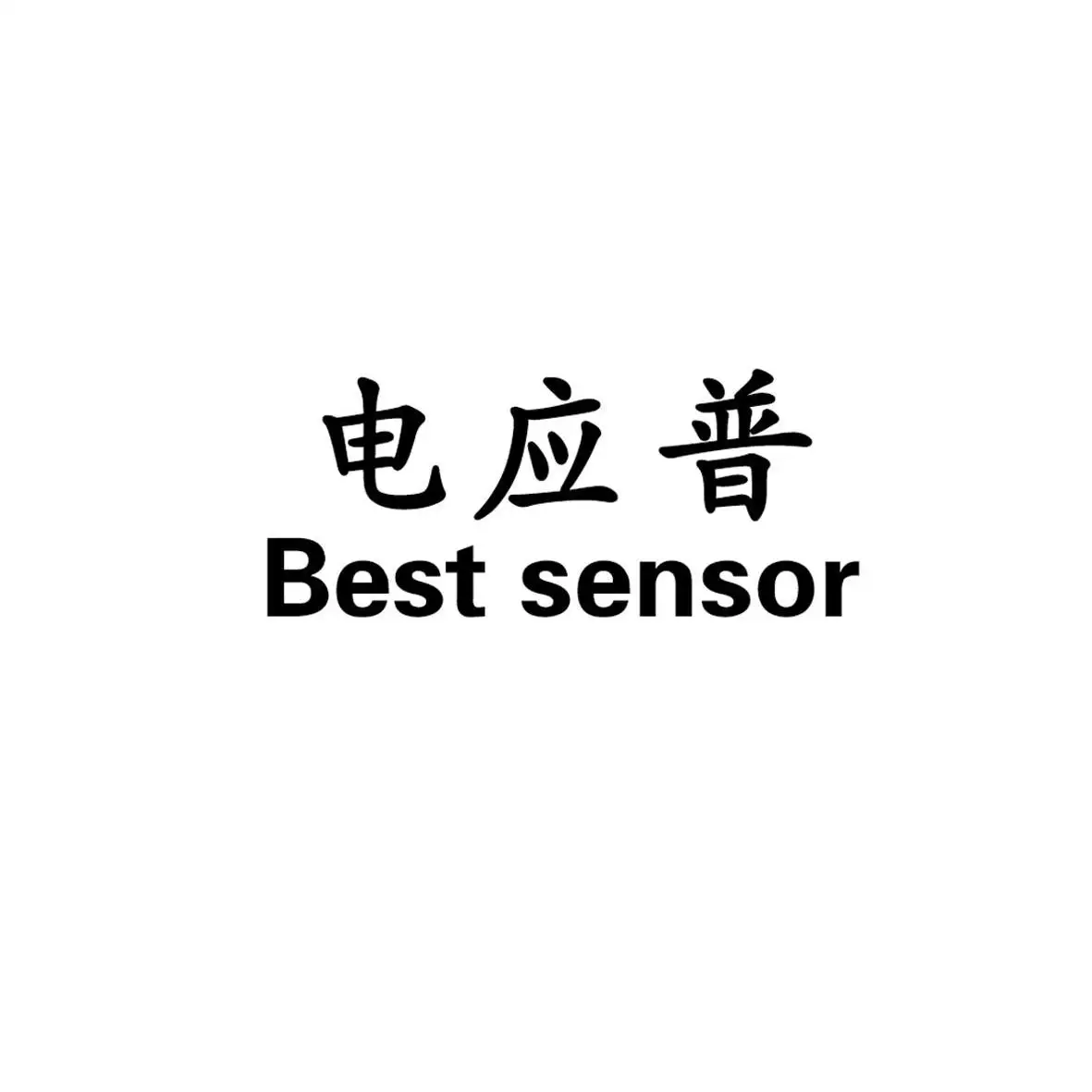 Shenzhen Dianyingpu Technology Co., Ltd. logo