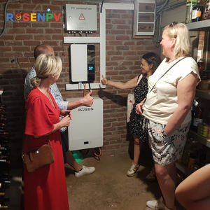 بطارية ليثيوم جدارية Rosen بجهد 48 فولت، حزمة بطاريات LiFePO4 للطاقة الشمسية بسعة 50 أمبير/ساعة، 100 أمبير/ساعة، 200 أمبير/ساعة، 400 أمبير/ساعة، وقدرة 5 كيلوواط و10 كيلوواط - Product Image 3