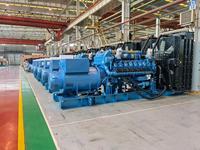 Générateur diesel silencieux 1000 kW 1 MW, moteur Weichai Baudouin, refroidissement par eau, alternateur Faraday triphasé, industriel, médical, commercial