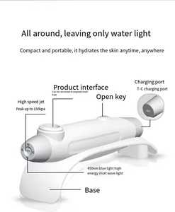 Home Use Beauty Equipment Hydration Rejuvenation Machine Nano Mist Sprayer Facial Injector - Product Image 6