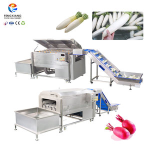 Tanque de remojo y máquina de lavado con cepillos para rábano, remolacha y pastinaca, suministro de fábrica - Product Image 1