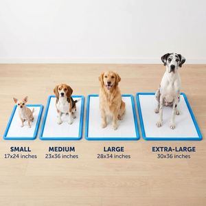 Almohadillas Desechables Súper Absorbentes para Cachorros, Mantienen el Hogar Limpio y sin Olores, Almohadillas Extra Grandes a Prueba de Fugas para Perros de Razas Grandes - Product Image 5