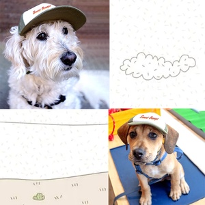 Ngoài trời sunhat mùa hè con chó mặt trời bảo vệ Xô Du Lịch Net <span class=keywords><strong>hat</strong></span> Puppy Dog bóng chày lưới <span class=keywords><strong>trucker</strong></span> <span class=keywords><strong>cap</strong></span> với lỗ tai cho chó mèo - Product Image 3