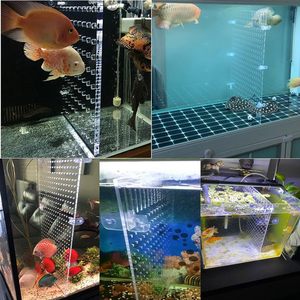 水族馆鱼缸分隔器丙烯酸隔离格栅板，带吸盘，包括透明鱼分离器 - Product Image 5