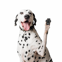 Nouvelles patins antidérapants en tissu pour chiens : adhérence optimale pour chiens âgés et protection des pattes blessées, adaptés à toutes les saisons