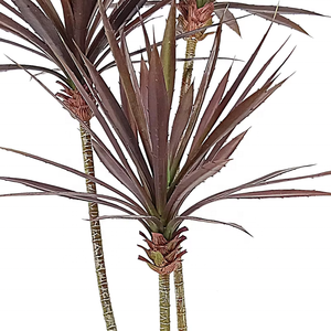 Fábrica al por mayor plantas suculentas <span class=keywords><strong>Agave</strong></span> hierba de plástico <span class=keywords><strong>Agave</strong></span> artificial para decoración interior exterior - Product Image 4
