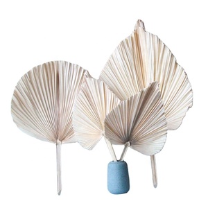 Offre d'usine : Arrangement de fleurs séchées, feuilles de <span class=keywords><strong>palmier</strong></span> séchées naturelles pour la décoration intérieure - Product Image 3